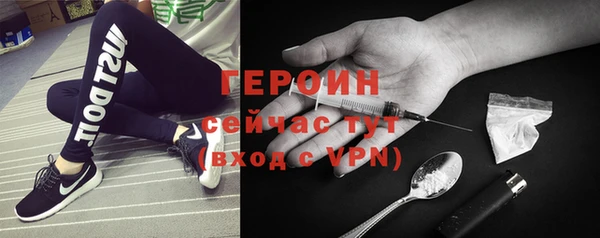 хмурый Пересвет
