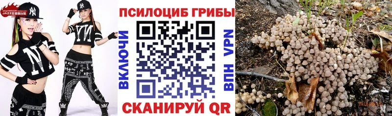 Псилоцибиновые грибы мухоморы  ссылка на мегу рабочий сайт  Сольцы 